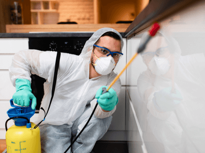 About SolidCore Shield Control - organic pest solutions experts in Anaheim