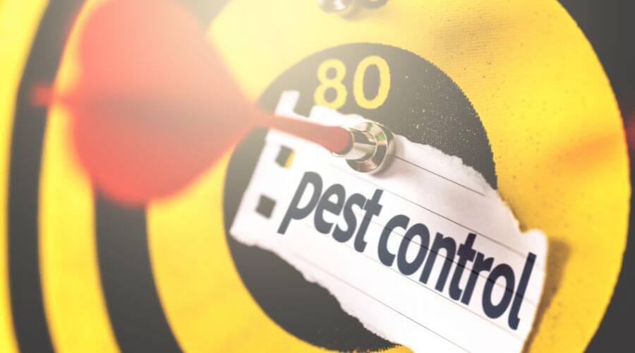 Professional organic pest solutions services in Anaheim